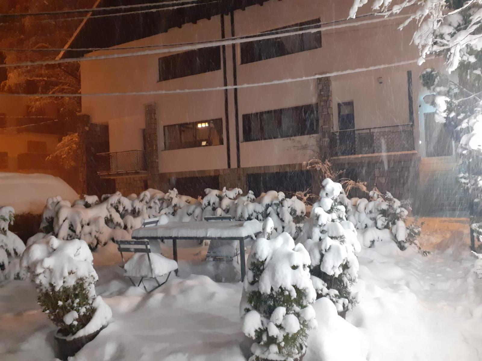 Residence Sinaia Apartments Exterior photo